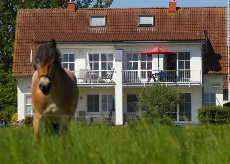 Ferienwohnung Boddenblick Zudar Exterior foto